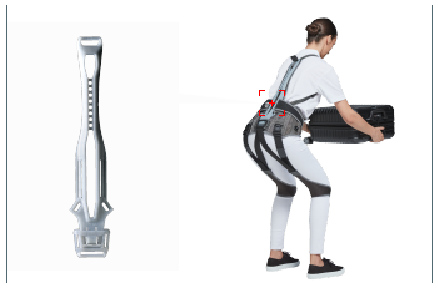 second-spine